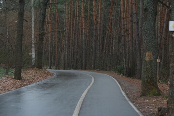 Fototapeta premium the road home
