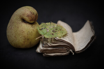 Still life com livro, pera e folha seca