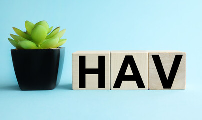 HAV Medical acronym or abbreviation for hepatitis A virus text on wood blocks against blue...