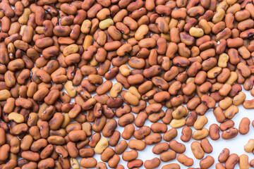 Sesbania grandiflora seeds for planting healthy food