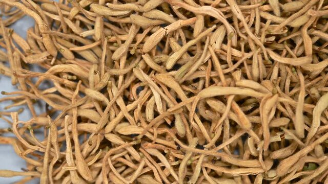 top angle pan view herb JinYinHua or Lonicerae Japonicae Flos or Japanese Honysuckle Flower Bud