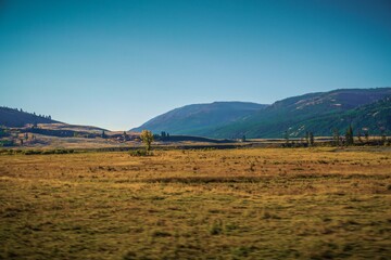 Yellowstone national park