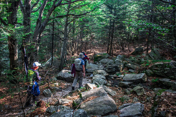 hiking in the woods