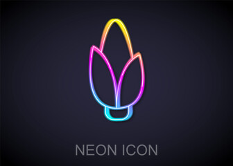 Glowing neon line Corn icon isolated on black background. Vector.