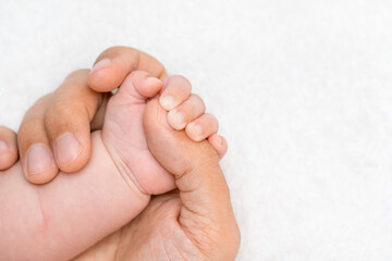 Parent hand holding new born baby hand. Love, care, peace concept. Fathers day banner