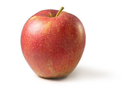 Apfel Wellant Freisteller