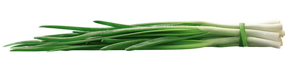 green fresh onion feathers with water drops are gathered in a bundle on a white isolated background