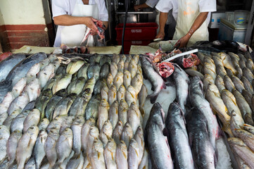 fresh fish at the market