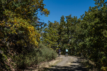 Sierra Norte de Guadalajara Natural Park, Cantalojas, Guadalajara, Spain