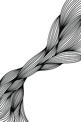 vector illustration abstraction lines braided into a knot