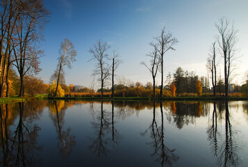 Park in Pruszkow,, trees reflection in water. Cycling stadium in the background