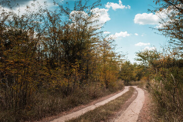 Camino de campo