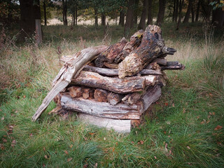 Old Wood Logs stacked