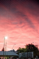 Atardecer rosado