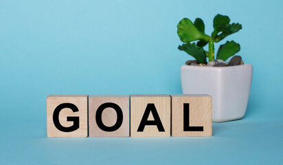 On a blue background, on wooden cubes near a plant in a pot GOAL is written