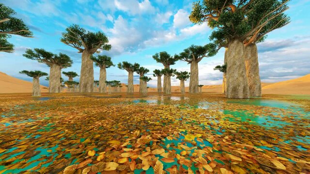 Baobab alley in Madagascar