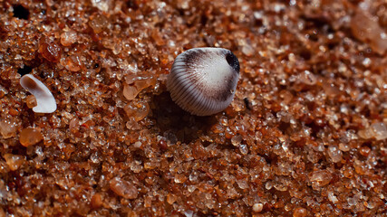 Indian Ocean artifacts in macro style