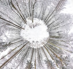 scenic winter landscape at the Platte forest in Wiesbaden in tiny planet view