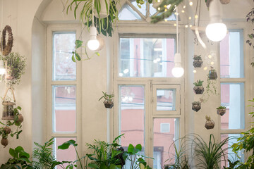 Mini-florarium with green plants hanging on a wire, with white light bulbs in a bright interior against the background of the window. A living garden. Phytodesign.