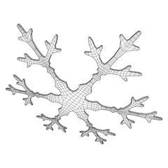 Snowflake winter Christmas falling snow Wireframe low poly mesh vector illustration