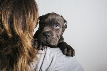 close up of woman holding cane croso puppy