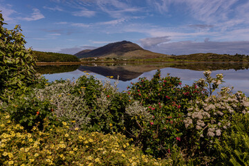 Naklejka premium Tully mountain and reflection on Barnaderg Bay, Letterfrack, Connemara, County Galway, Ireland, wild atlantic way