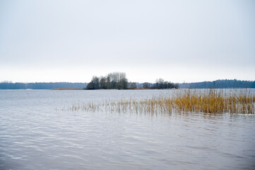 Landscape with winter lake and trees