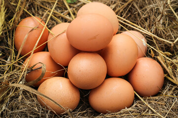 Natural organic chicken Eggs with brown Shells on a Straw and Hay. Rustic cozy still life. The concept of a healthy Lifestyle and eating. Beautiful Easter Card.