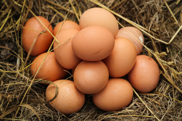 Natural organic chicken Eggs with brown Shells on a Straw and Hay. Rustic cozy still life. The concept of a healthy Lifestyle and eating. Beautiful Easter Card.