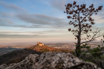 Sonnenaufgang am Zeller Horn mit Blick zur mittelalterlichen Ritterburg Burg Hohenzollern mit dem Felsen Stein und Kiefer Baum und Sonnenstrahlen in Bisingen Hechingen, Deutschland