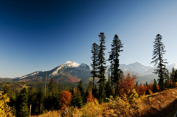 Tatry Mountain. Beautiful view in Polana near Zakopane in Poland © Dominik Kopycinski