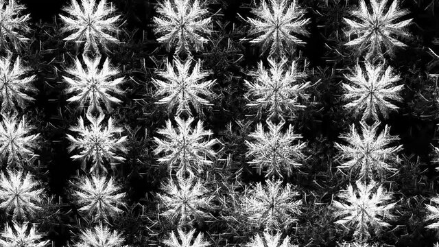 Isolated black background. Futuristic technology design. Abstract wall of snowflakes on the background of the movement of snowflakes. Winter, holiday. Modern technological concepts. 3d illustration.