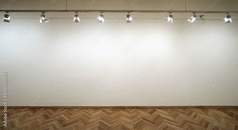 Wall mural Interior of a empty white wall with spot lights at art gallery