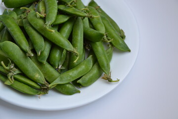 Green pea pods from farmland. Pea freshly picked. Organic spring pea pods. Fresh vegetables. Healthy eating. Country garden harvest.