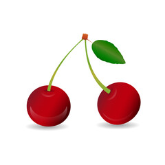 Cherry berries. White background. Vector illustration.