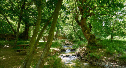 Empty picnic tables near the pond