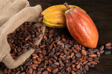Cocoa fruits and bag with raw cocoa beans