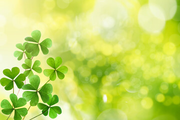Fototapeta na wymiar Fresh clover leaves on green background, space for text. St. Patrick's Day celebration