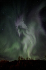 A phoenix arising from the aurora in Norway