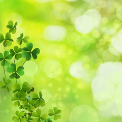 Fresh clover leaves on green background, space for text. St. Patrick's Day celebration