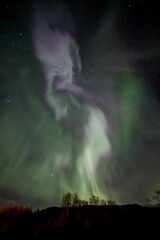 A phoenix arising from the aurora in Norway