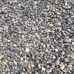 Shiny Wet Multicolored Pebbles on a Beach