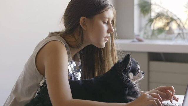 Lovely dog sitting near laptop, pretty girl typing, online studying or chatting with a pet-friend.Crop - teenager using laptop at home. Covid-19 self-isolation online surfing concept.