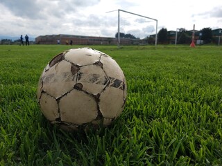 soccer ball on grass