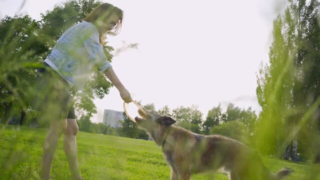 Cheerful brunette woman in denim jacket and glasses throws plastic frisbee plate while playing with funny large watchdog on fresh green grass in city park close-up