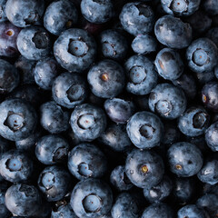 Harvest summer jam ingredient organic bio tasty blueberry healthy natural purple fruit berry for sweet dessert vitamin antioxidant snack with fresh wet water drop   
