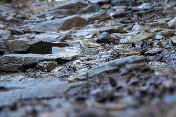 Cold Rocks on Path Toward Somewhere 