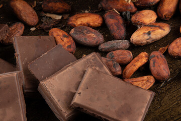 Pieces of chocolate on raw cocoa beans