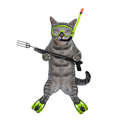 A gray cat underwater hunter in a mask, a snorkel and flippers holds a harpoon. White background....