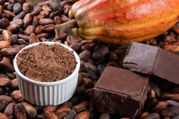 Detail of cocoa fruit with pieces of chocolate and cocoa powder on raw cocoa beans
